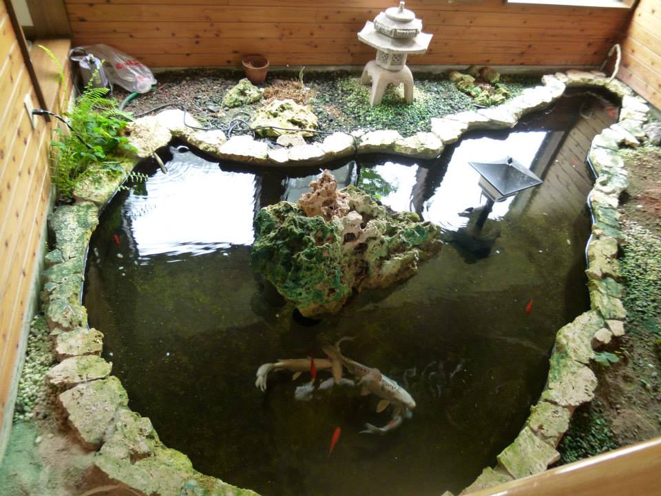 沖永良部島にある永嶺荘の沖永良部島の形をした池