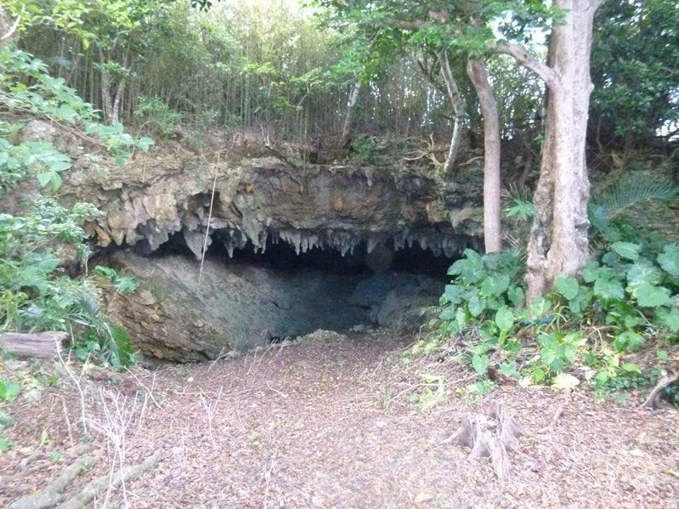 沖永良部島にある沖永良部島エコツアーネットの自然散策