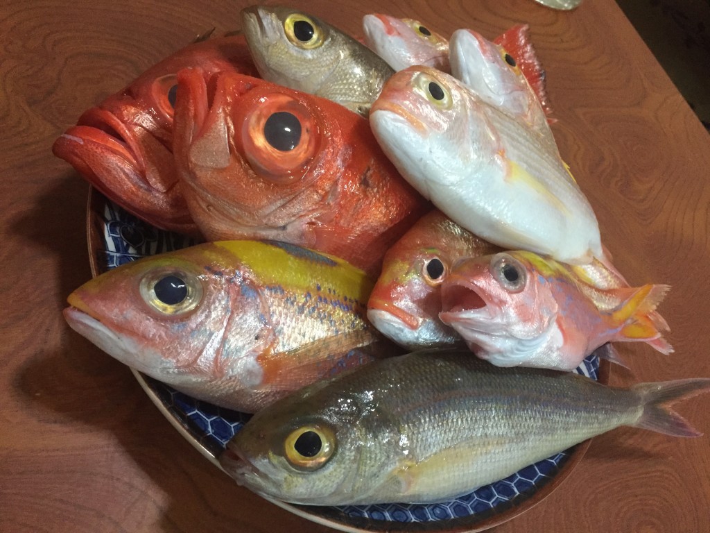 奄美大島　名瀬　小料理　ひろの　魚　新鮮