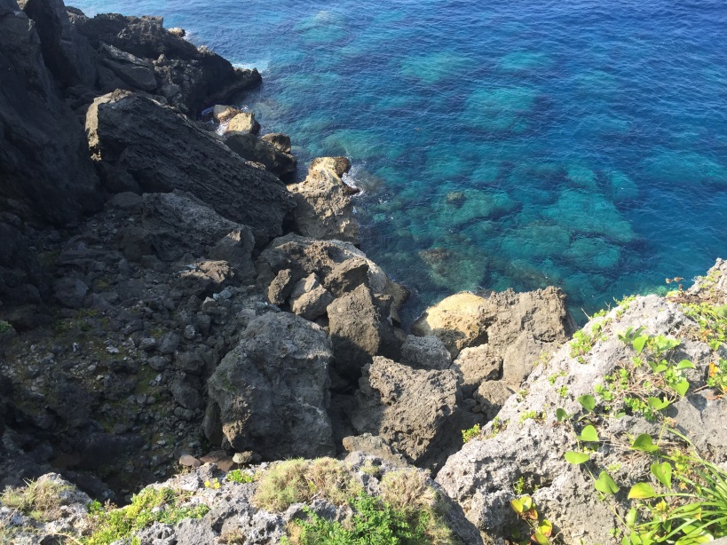 沖永良部島,田皆岬,ウミガメが見える海岸線2