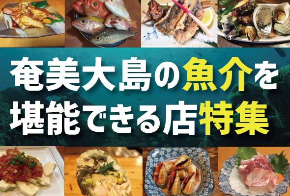 奄美大島,魚介料理を堪能,名瀬,トビンニャ