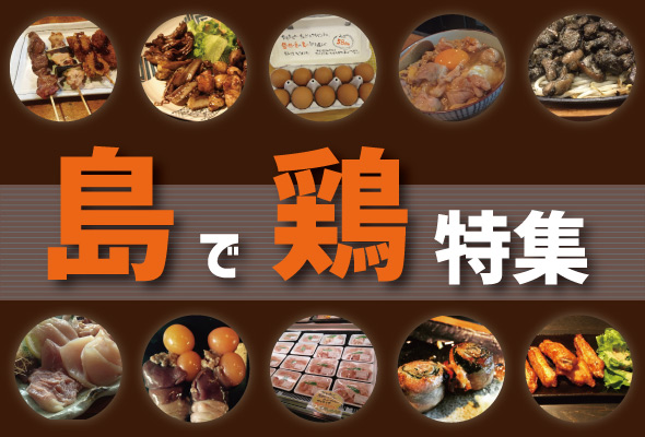 奄美大島,島で鶏特集,おススメの鶏料理,鳥