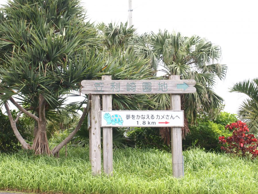 奄美大島,笠利,奄美大島最北端,夢をかなえる「カメ」さん