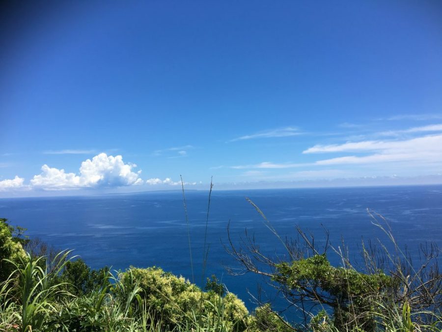 奄美大島,龍郷,二つの海の見える場所までの行き方