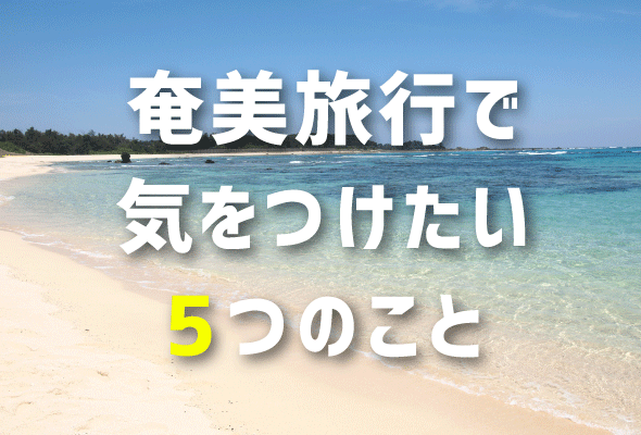 奄美大島,奄美旅行で気を付けたいこと,旅行で気を付けたいこと,危険なこと