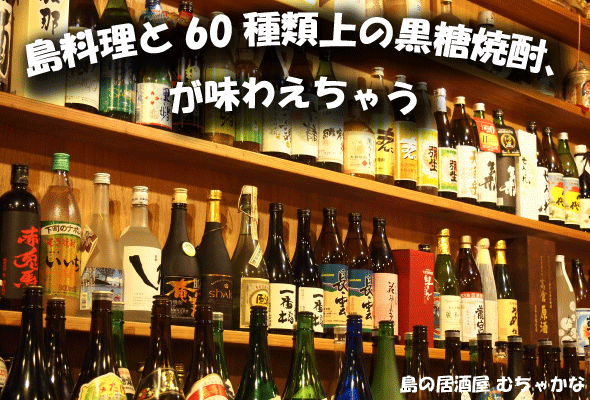 奄美大島,名瀬,屋仁川,アーケード内すぐ近く,島の居酒屋むちゃかな,