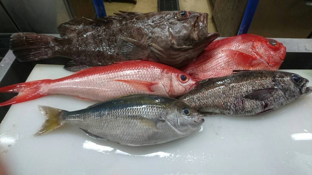 奄美群島,徳之島,くるくる寿司,新鮮な魚介,地魚
