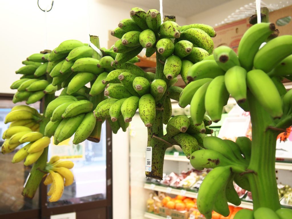 奄美大島,名瀬,＠やっちゃば,スーパー,地場のモノが買える,島バナナ