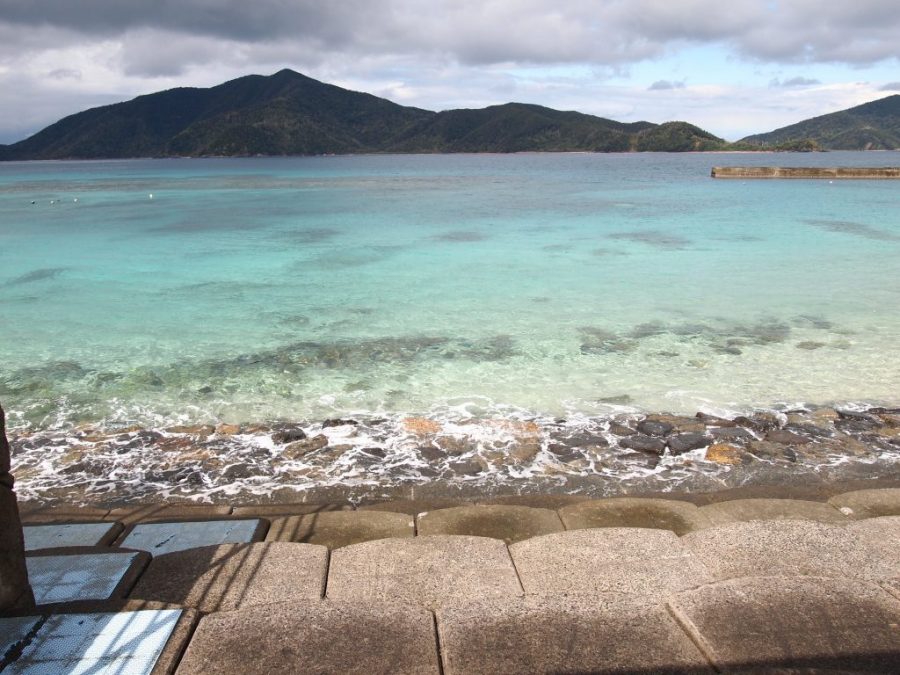 奄美大島,瀬戸内,蘇刈,いそしぎ,isoshigi海