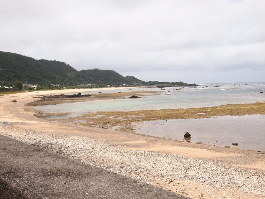 奄美大島,笠利,夢を叶える亀さん,おすすめスポット,奄美最北端,用海岸